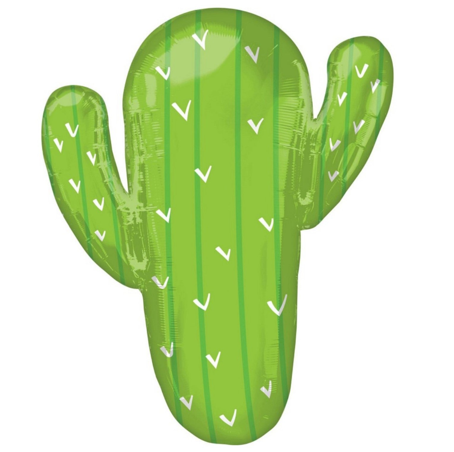 Kaktus XXL