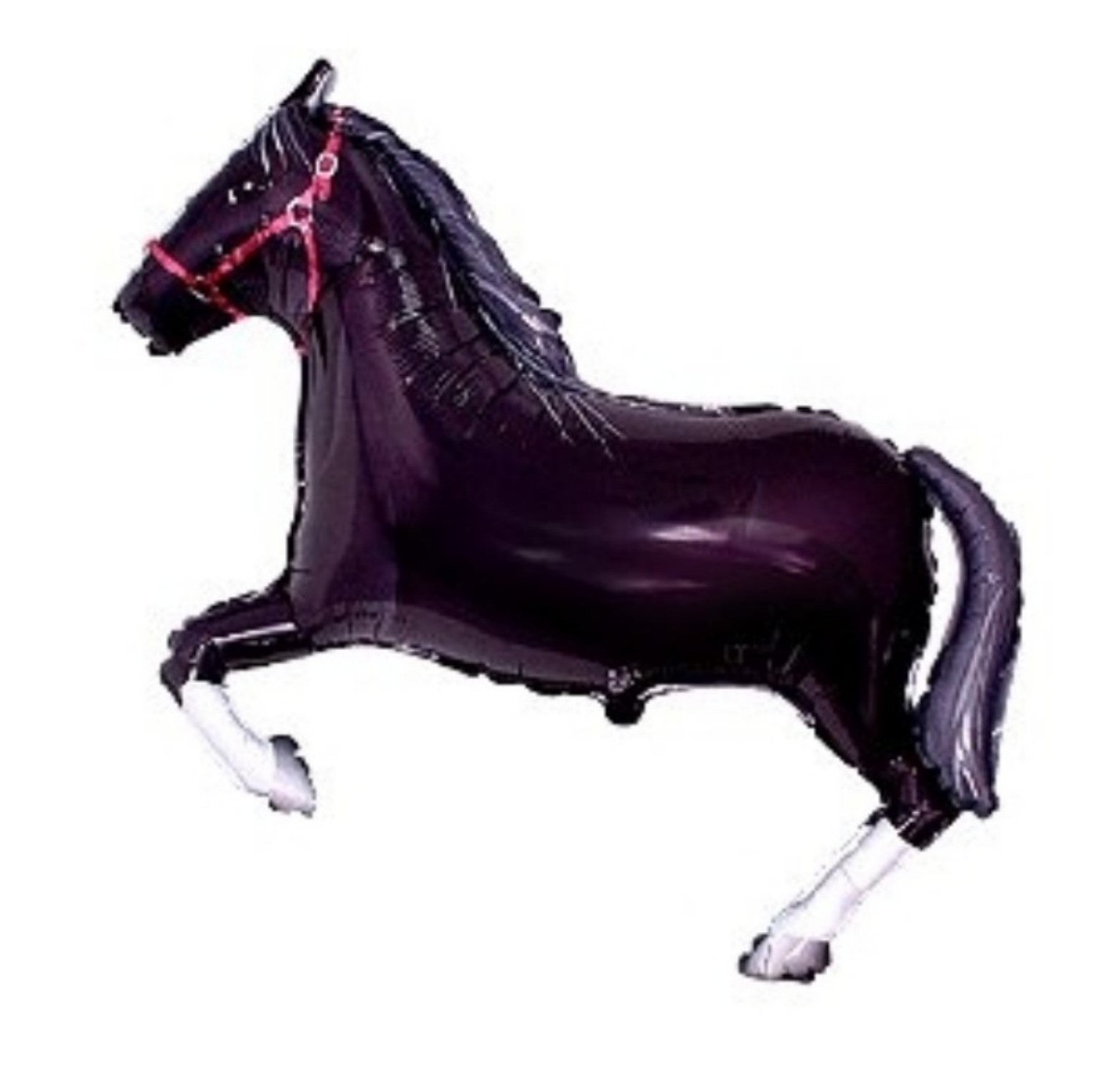 Pferd Rappe XL EU