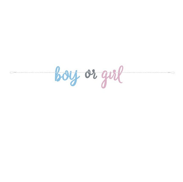 Banner boy or girl