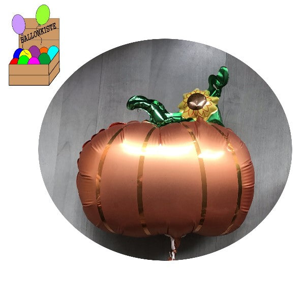 Mini Motiv Kürbis
