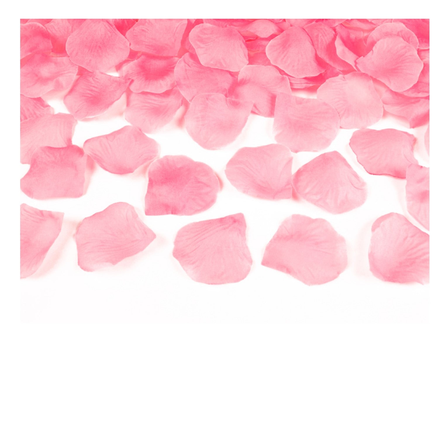 Rosenblätter rosa
